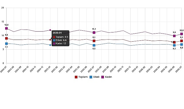 İşgücü İstatistikleri, Temmuz 2026