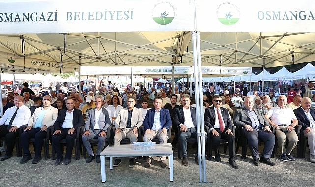 Osmangazi’nin Siyah İnciri Festivalle Buluştu