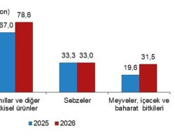 Bitkisel Üretim 2.Tahmini, 2026