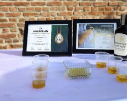 Ödüllü zeytinyağı ve Çepni İmece Fabrikası tanıtıldı