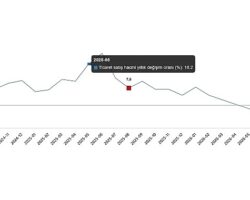 Ticaret Satış Hacim Endeksi, Ağustos 2026